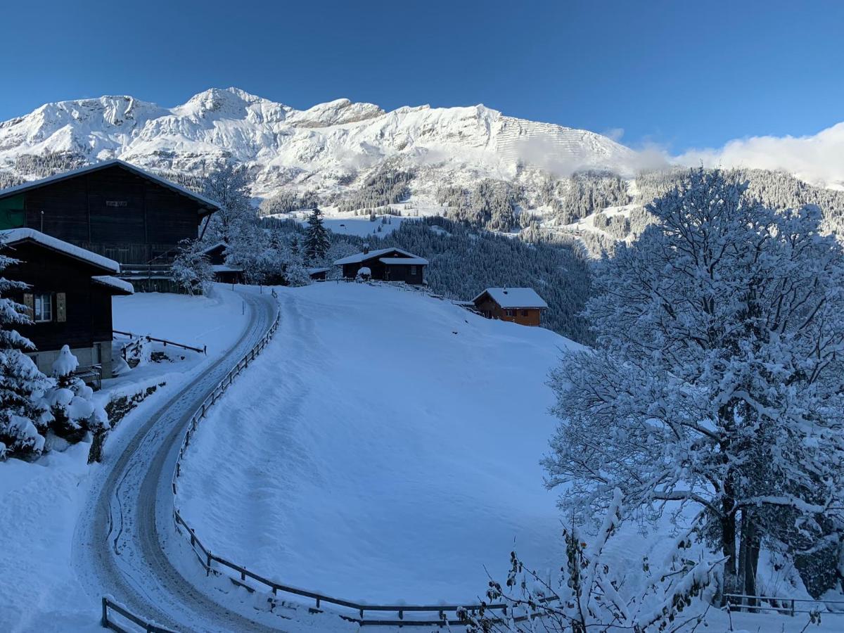 Chalet Schiltwald Innerwengen Bagian luar foto