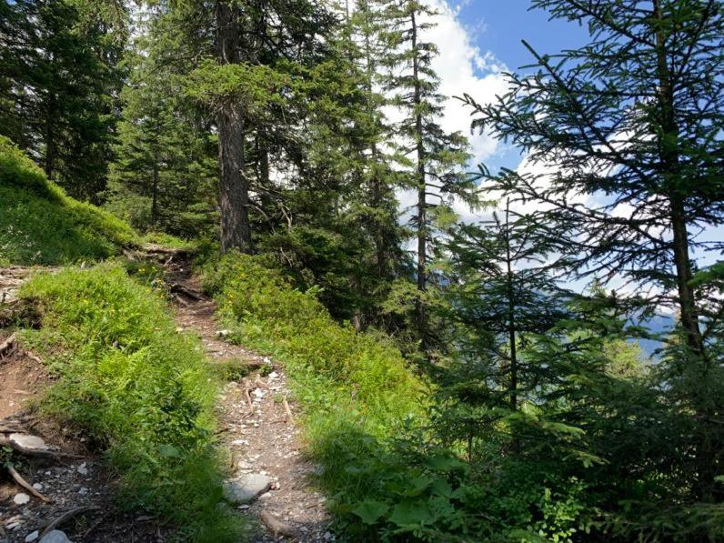 Chalet Schiltwald Innerwengen Bagian luar foto