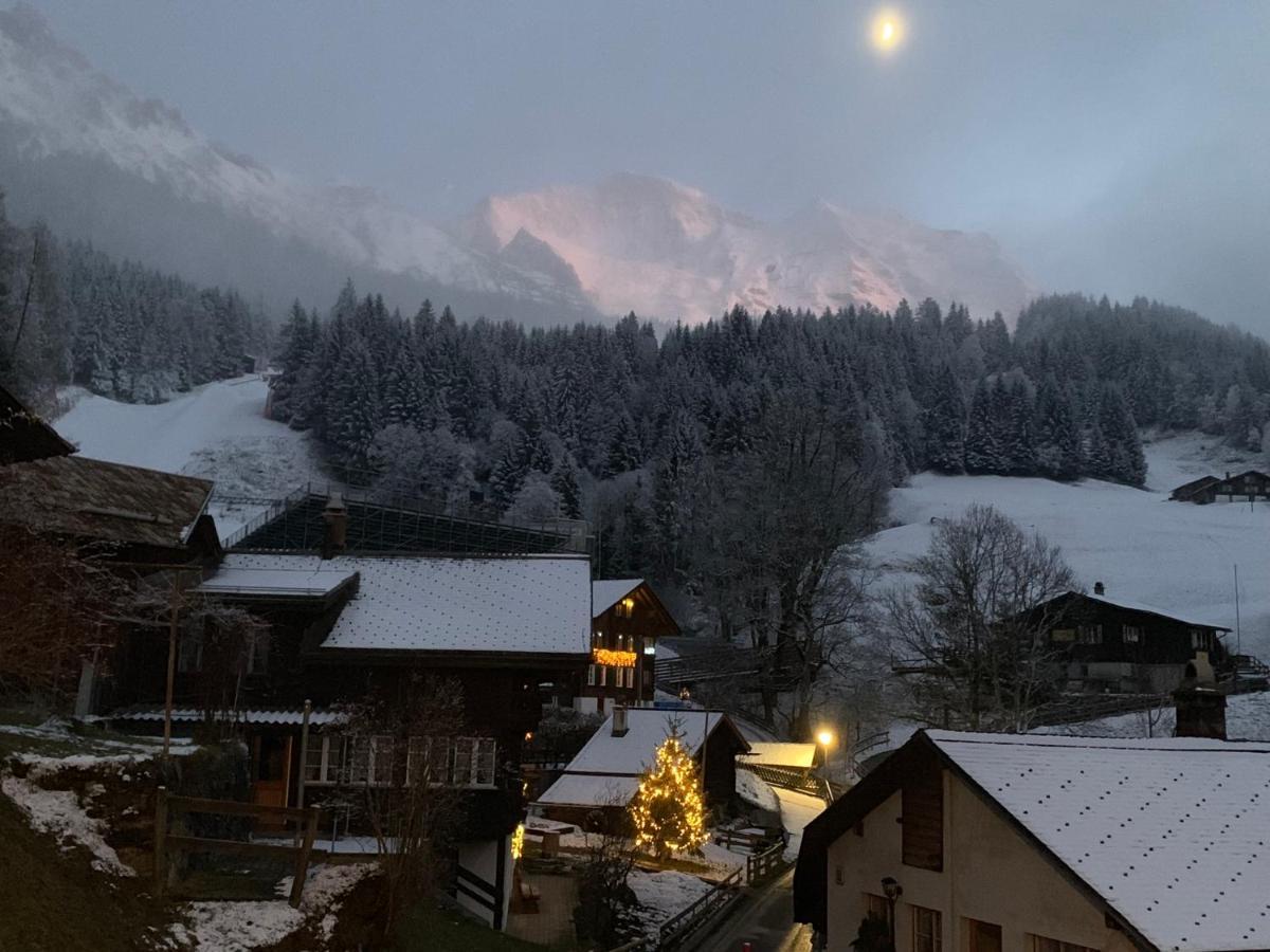 Chalet Schiltwald Innerwengen Bagian luar foto