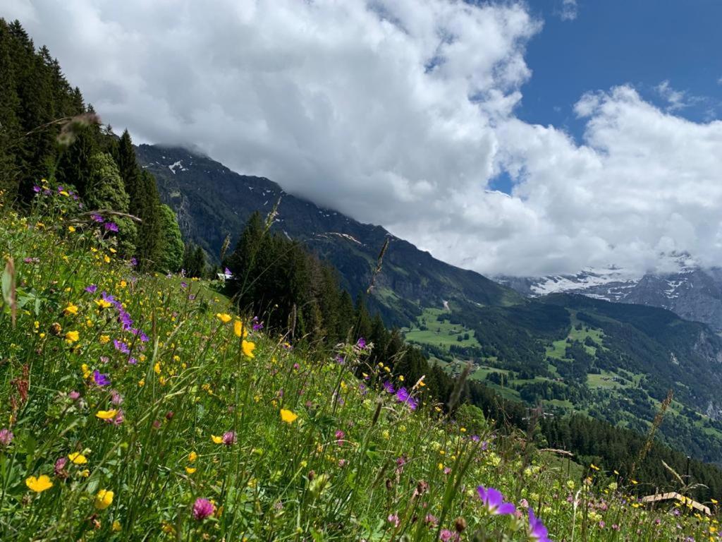 Chalet Schiltwald Innerwengen Bagian luar foto