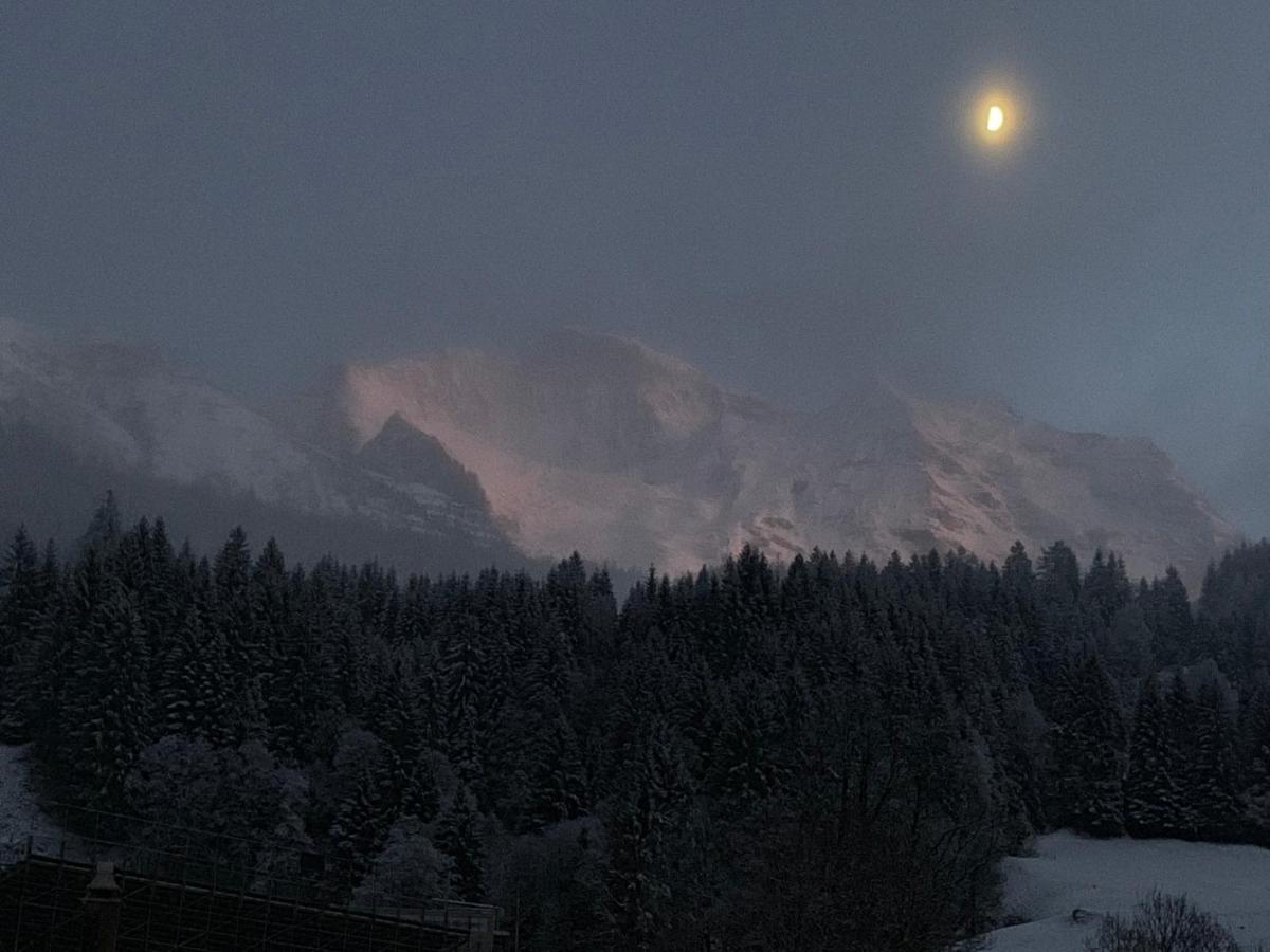 Chalet Schiltwald Innerwengen Bagian luar foto