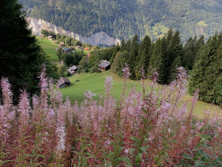 Chalet Schiltwald Innerwengen Bagian luar foto