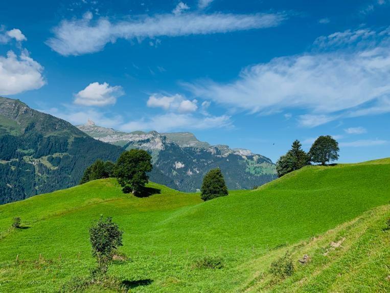 Chalet Schiltwald Innerwengen Bagian luar foto