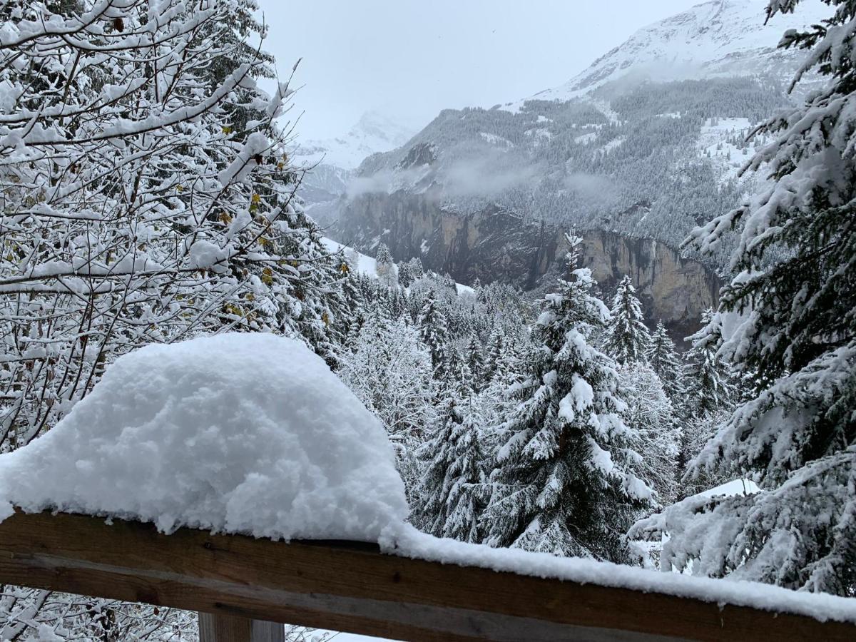 Chalet Schiltwald Innerwengen Bagian luar foto