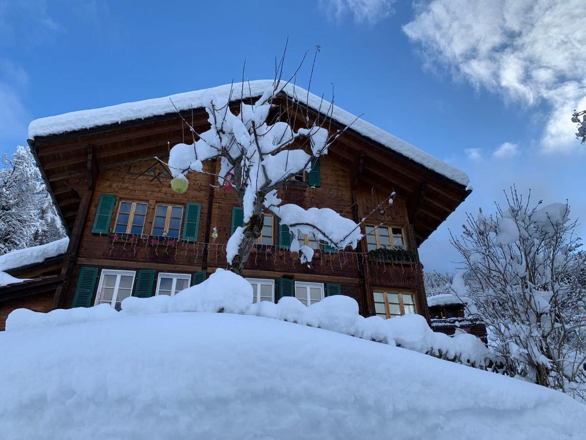Chalet Schiltwald Innerwengen Bagian luar foto