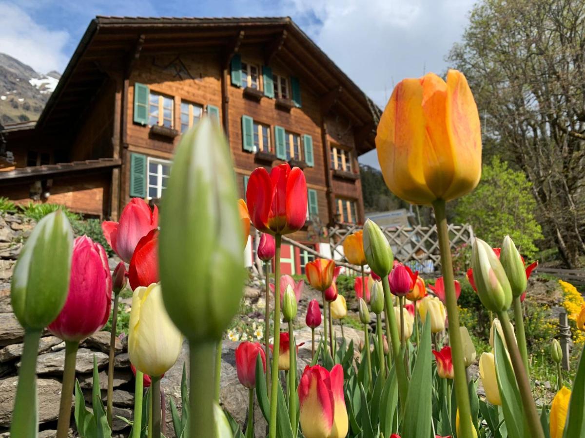 Chalet Schiltwald Innerwengen Bagian luar foto
